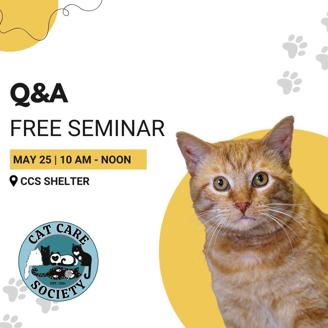 Seminar: Q&A with a Cat Behaviorist