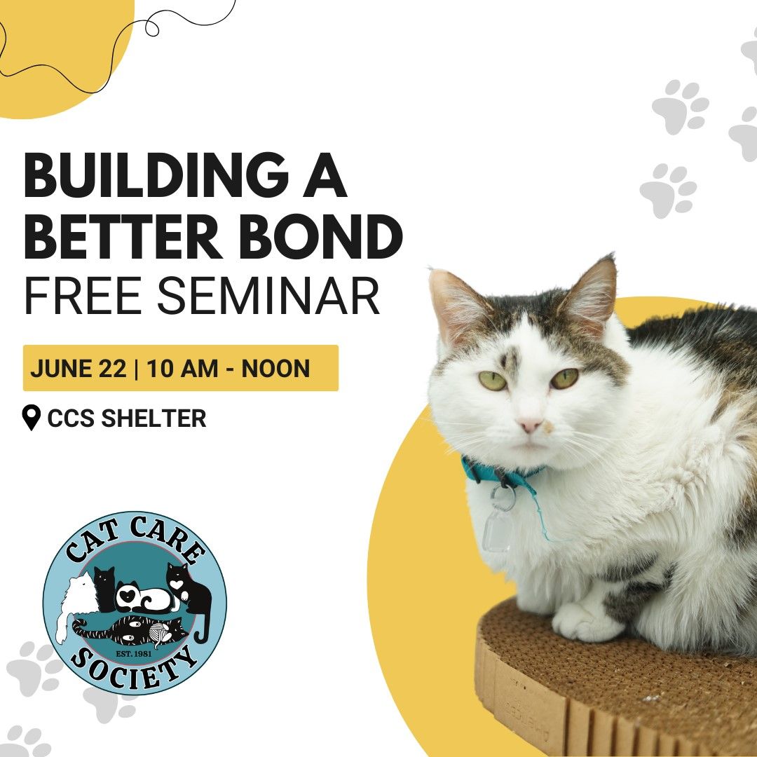 Seminar: Building a Better Bond with Your Kitty