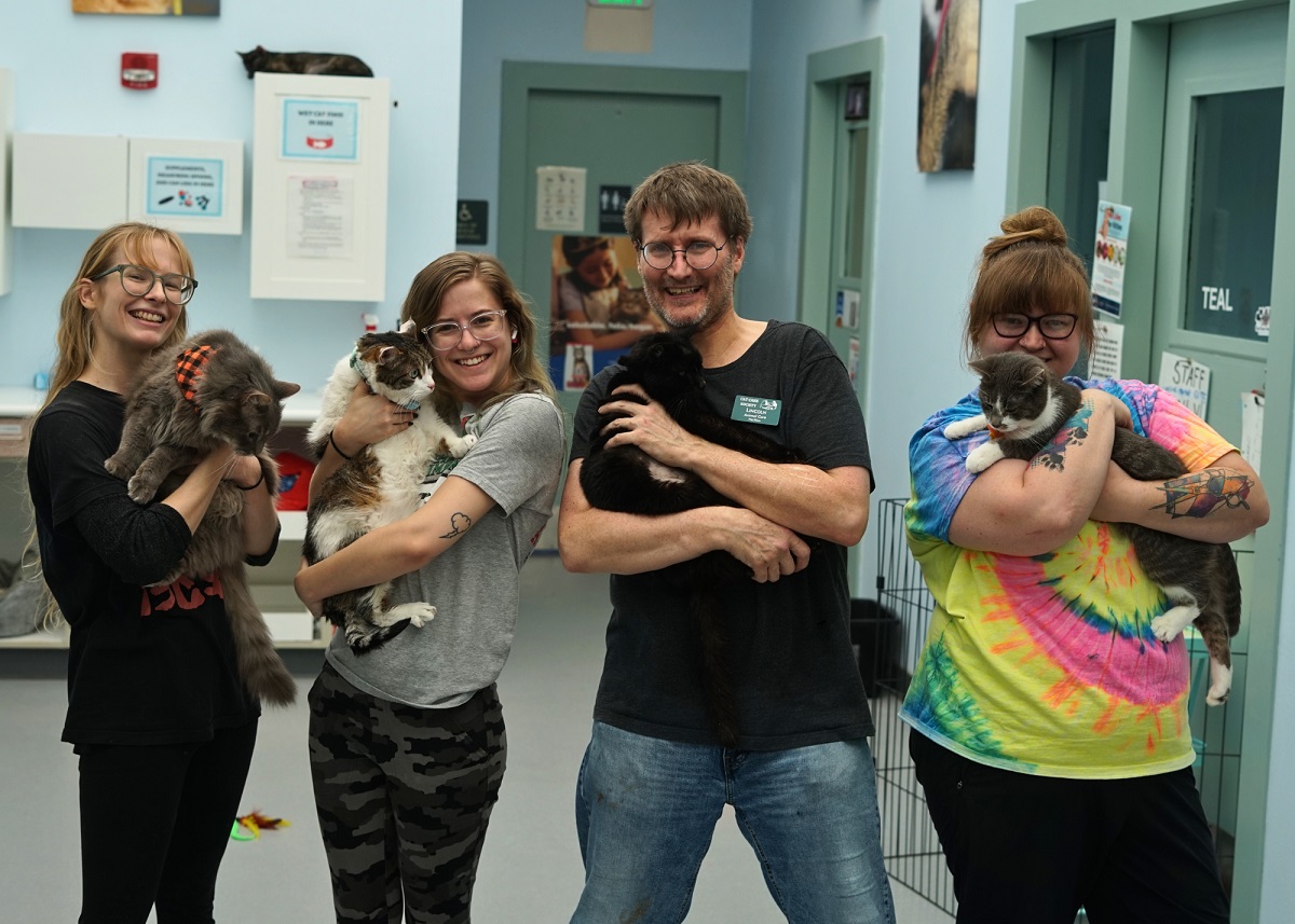 Four people hold cats inside the shelter