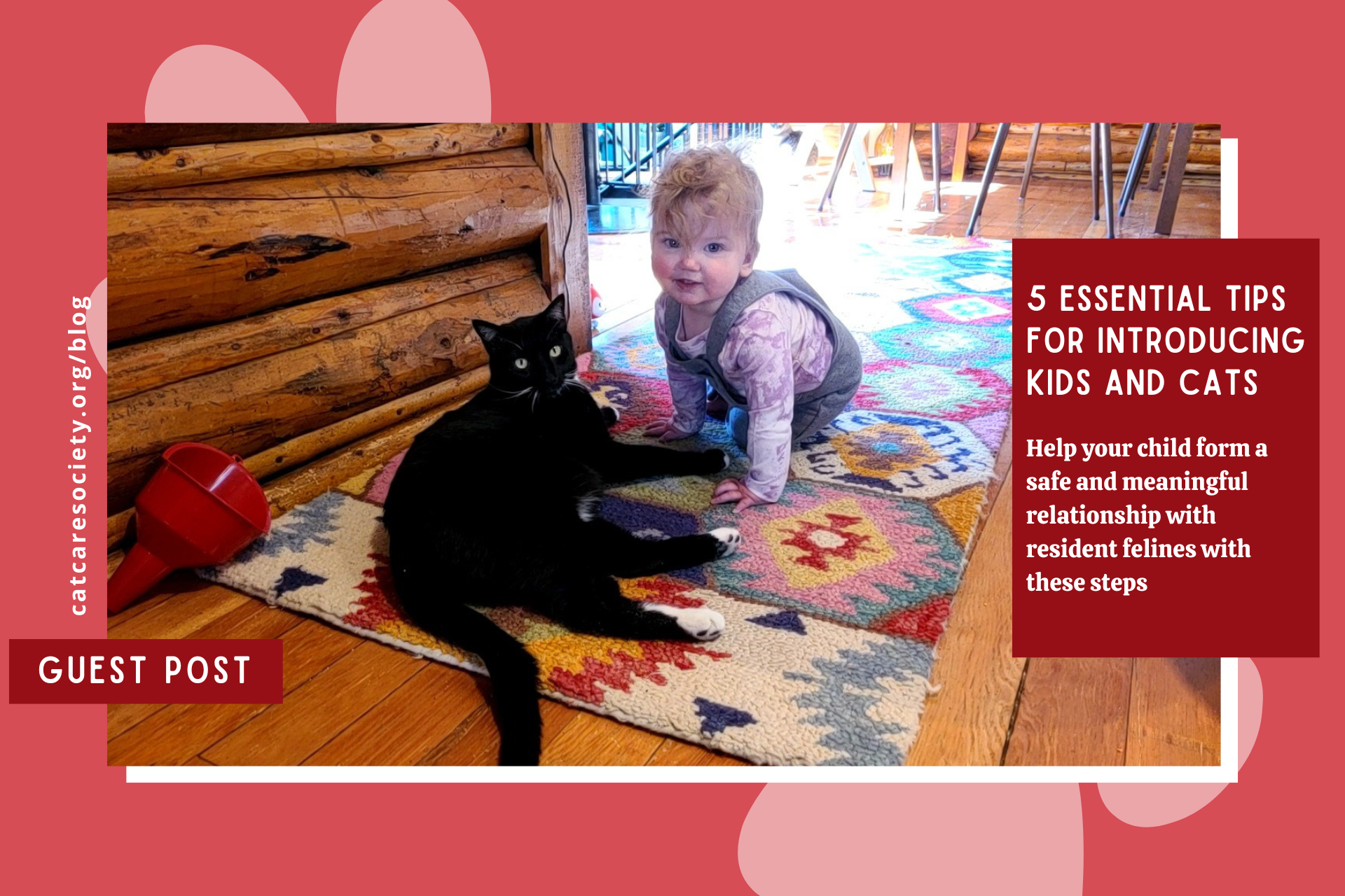 Photo of a child sitting on the ground with a black cat with text overlay that reads "5 essential tips for introducing kids and cats"