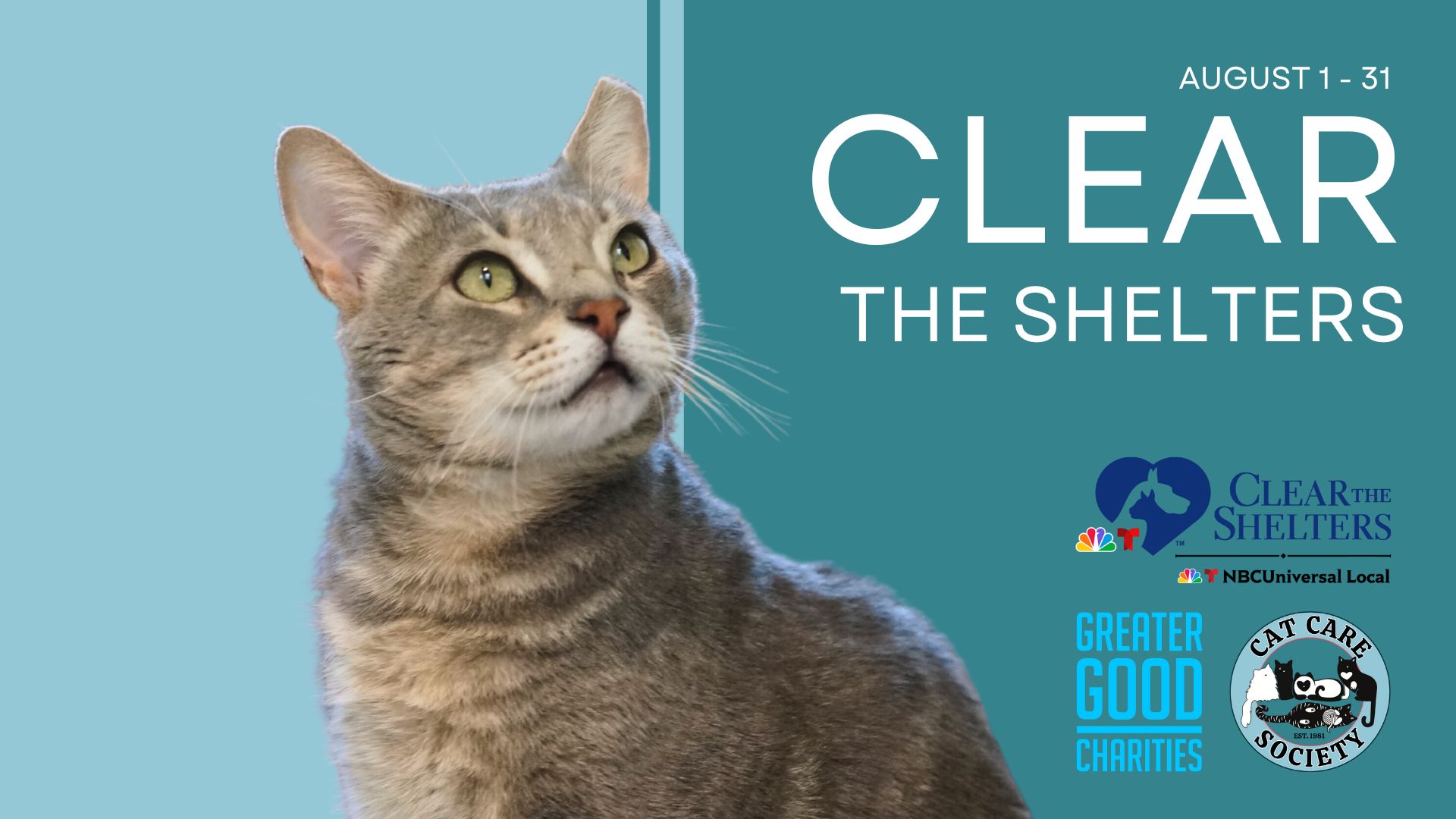 clear the shelters promotional banner showing a gray cat next to text that says Clear the Shelters