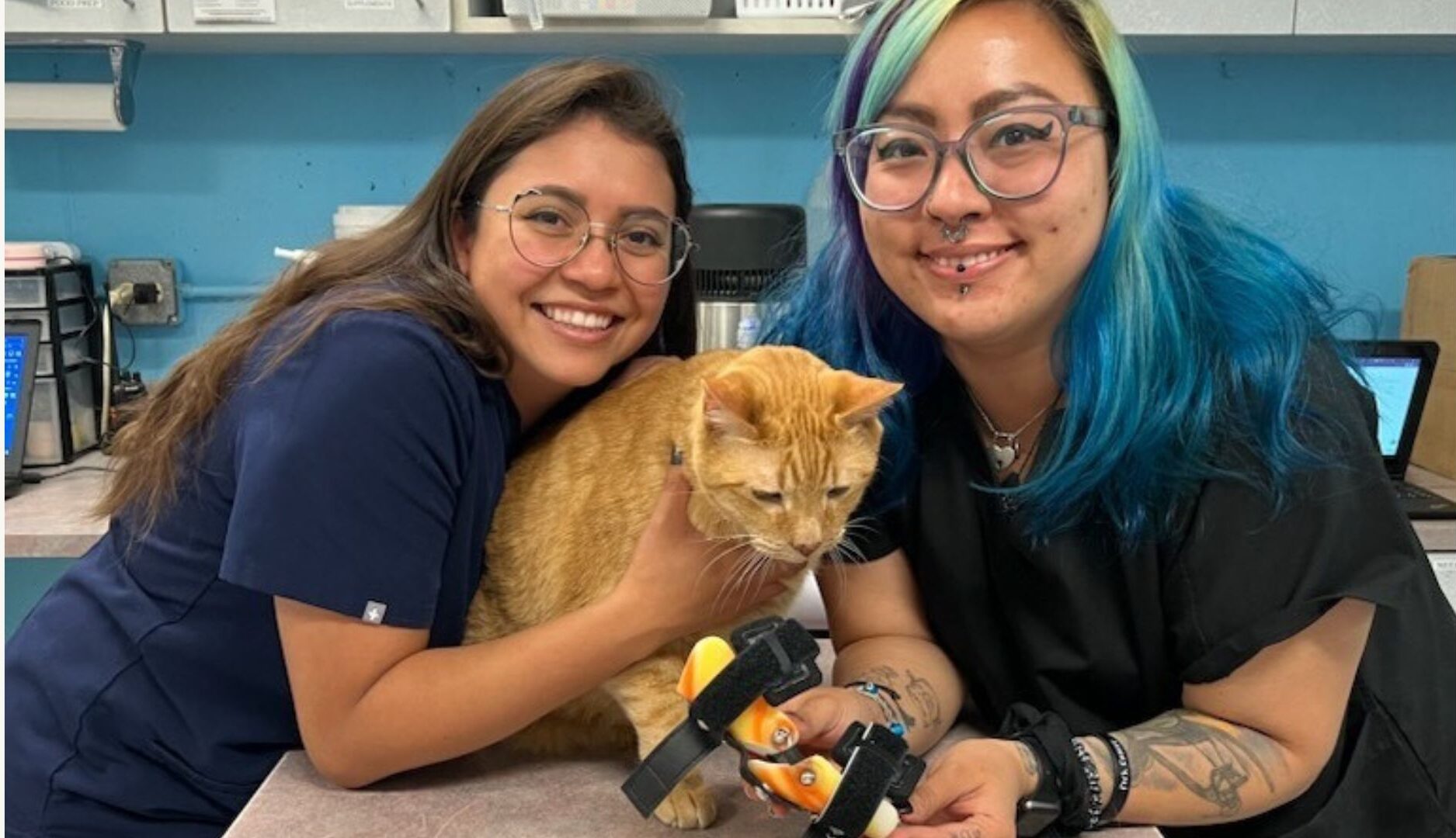 Two women hold an orange cat with leg braces on a medical exam table