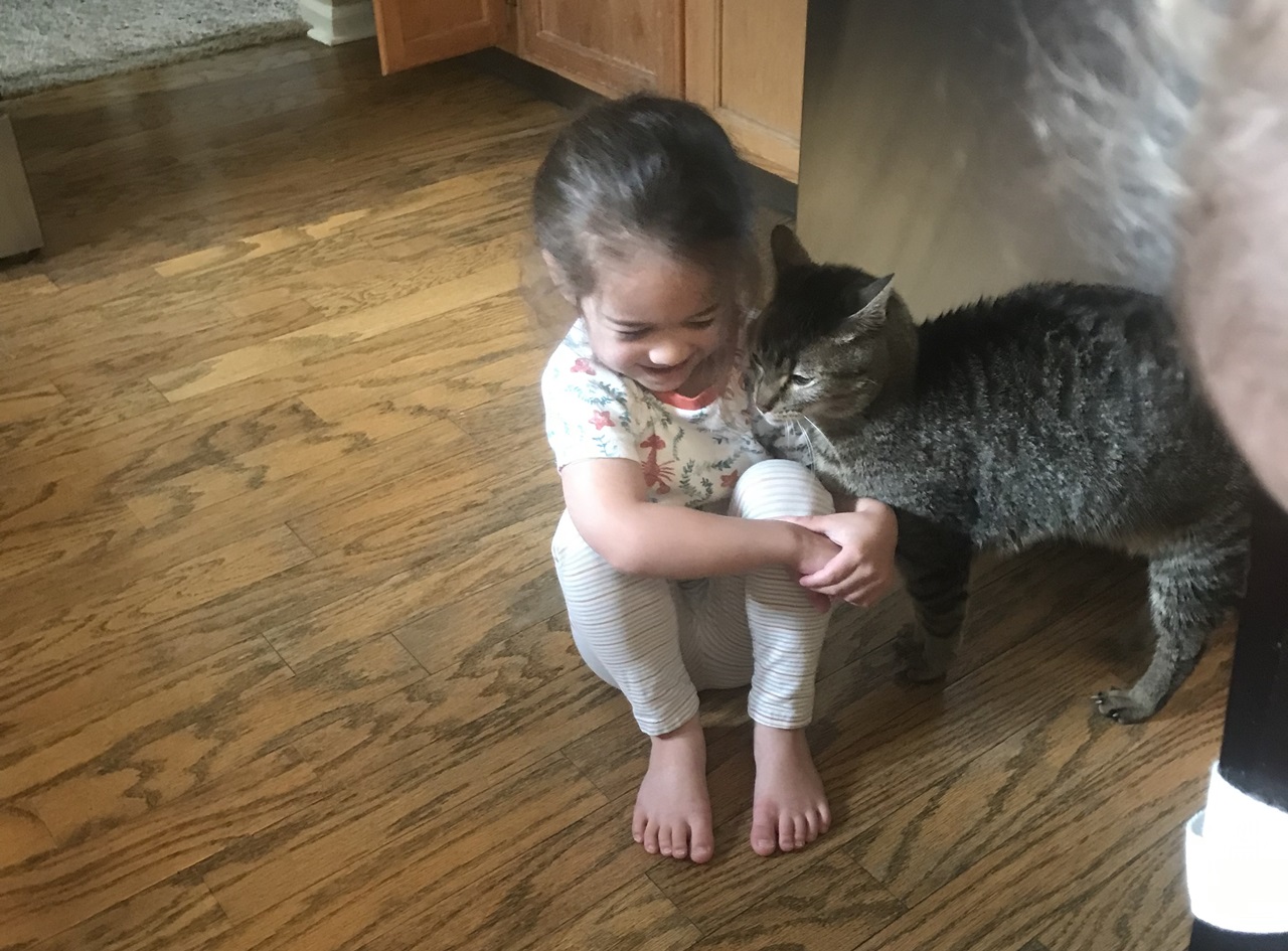 a tabby cat stands next to a small child on the floor