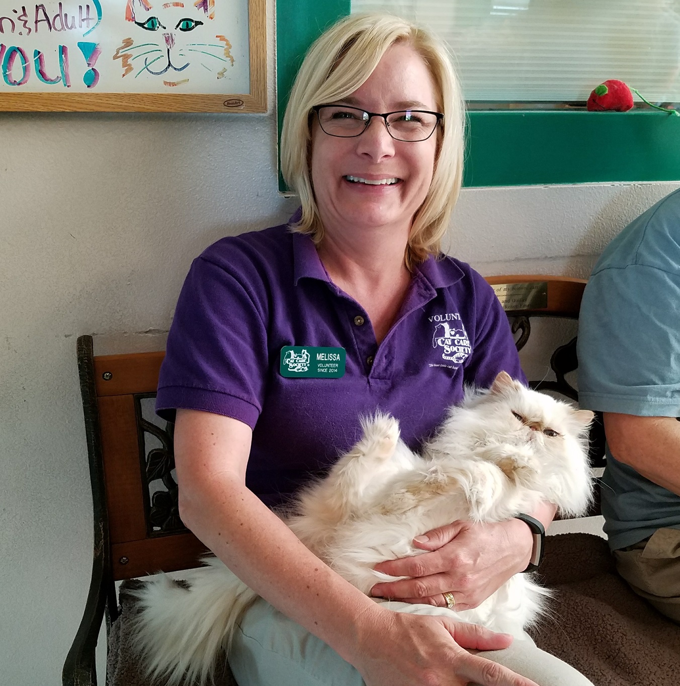 a woman in a purple shirt sits on a bench with a long-haired white cat in her lap on its back