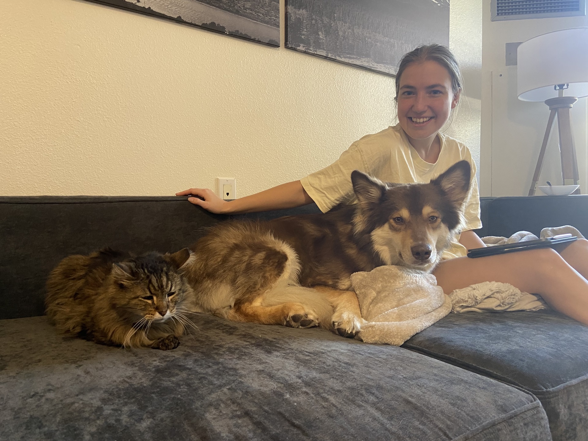 A tabby cat lays on a couch next to a dog and a woman