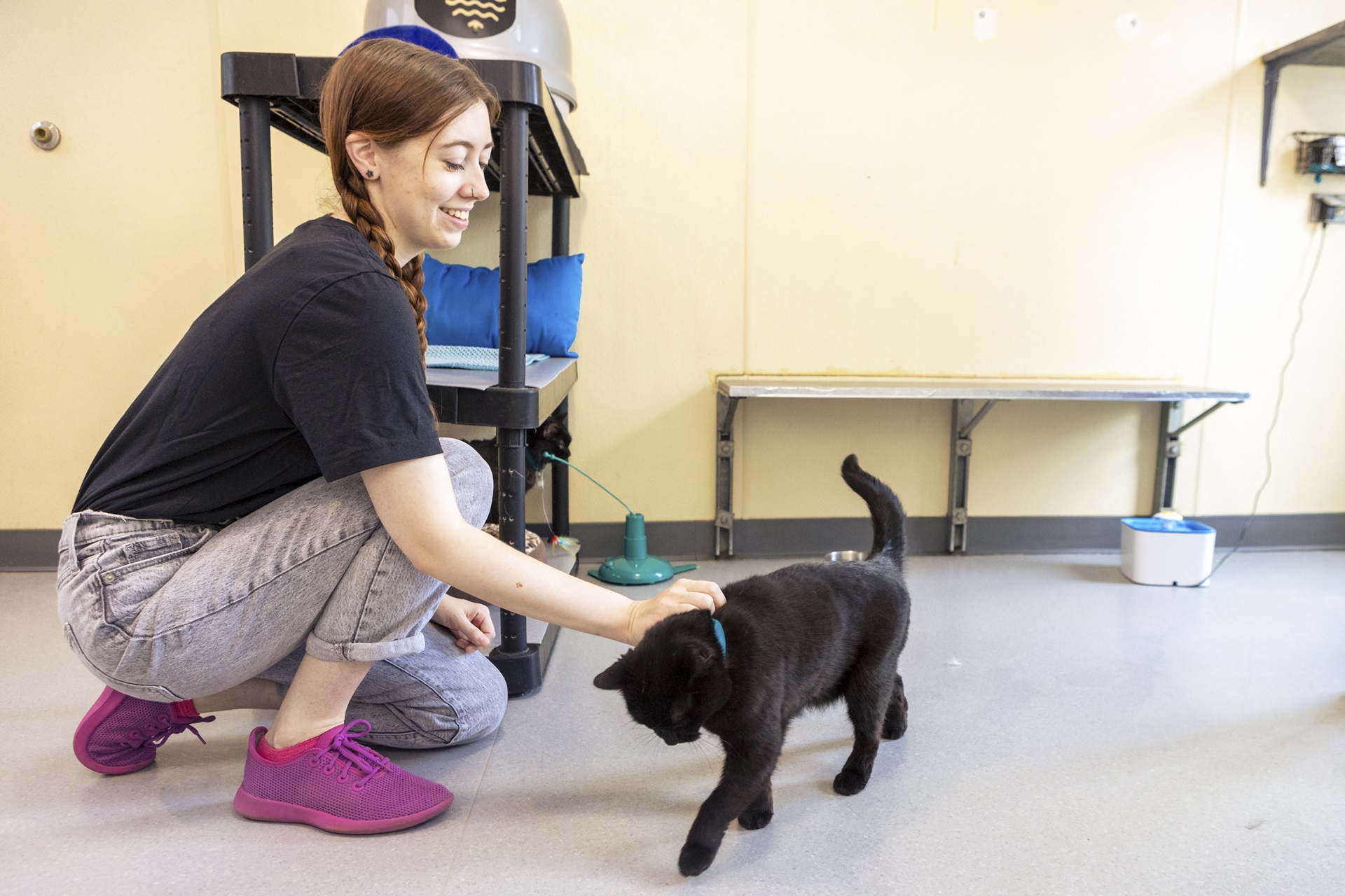 a woman pets a black cat