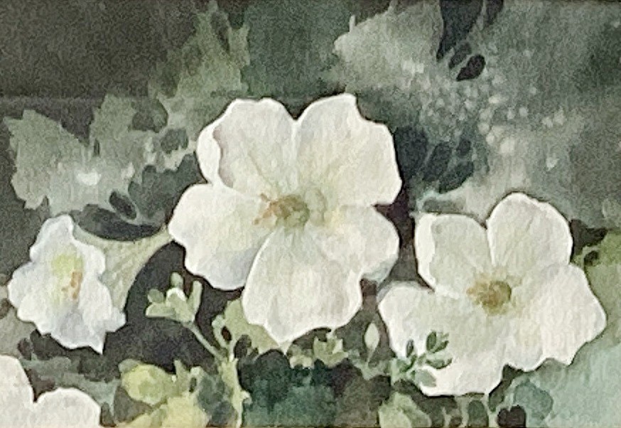 a painting of white petunias