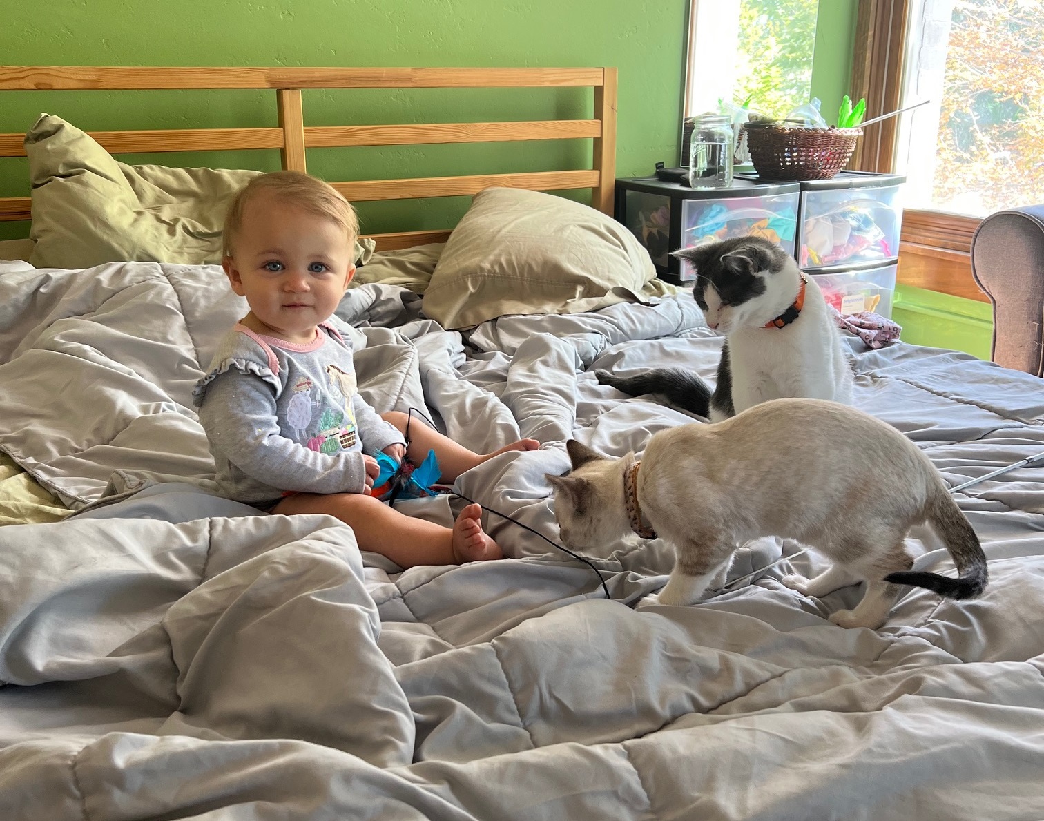 two cats sit on a bed with a baby playing