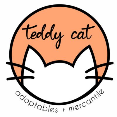 teddy cat cafe logo