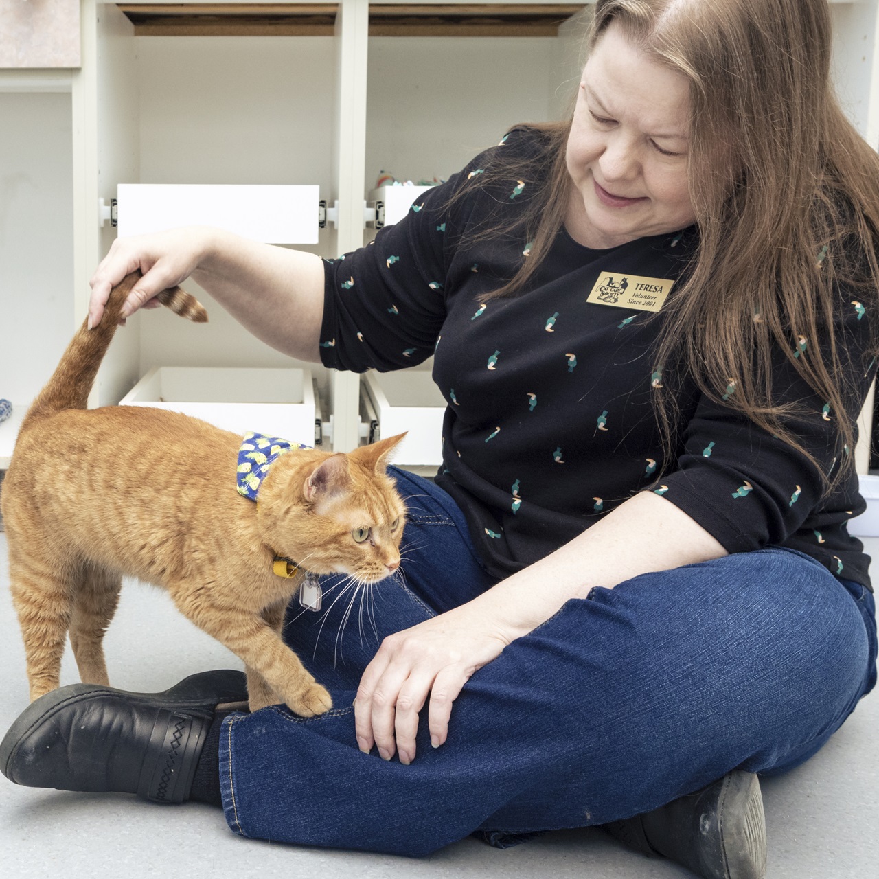 a woman in a black shirt sits on the floor to pet an orange cat